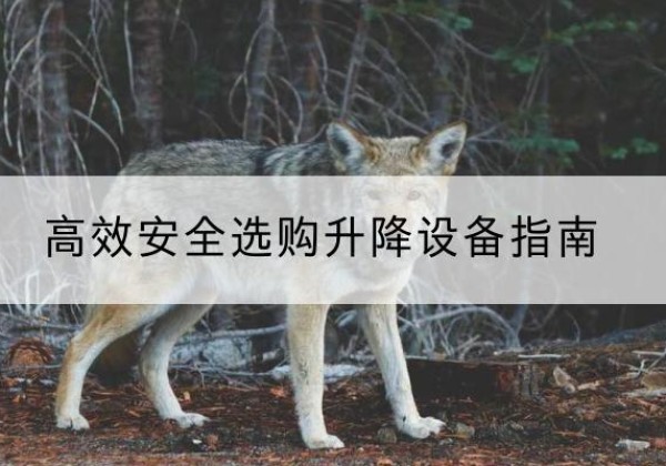 三河升降货梯厂家推荐-*安全选购升降设备指南