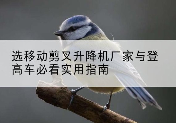 三河电动升降机厂家-选移动剪叉升降机厂家与登高车必看实用指南