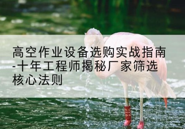 三河剪叉式升降机厂家-高空作业设备选购实战指南-十年工程师揭秘厂家筛选核心法则